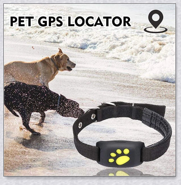 Premium GPS Cat Collar with real-time location tracking, waterproof design, and 'Geofence' safety features to safeguard your cat