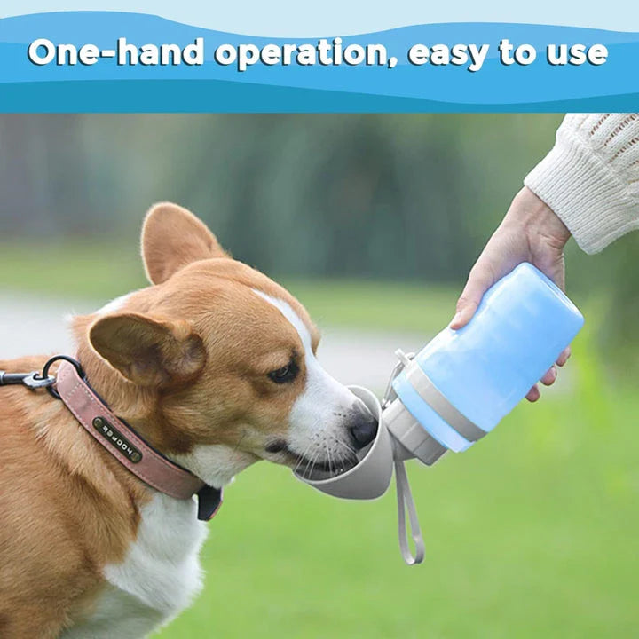 Portable dog water bottle with foldable drinking cup bowl, made of durable and food-grade plastic for safe hydration on walks, hikes, and outdoor activities.