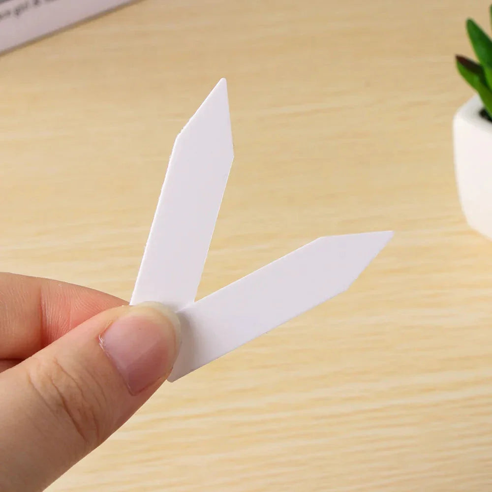 A set of 50 biodegradable paper nursery pots and plant labels for sustainable gardening