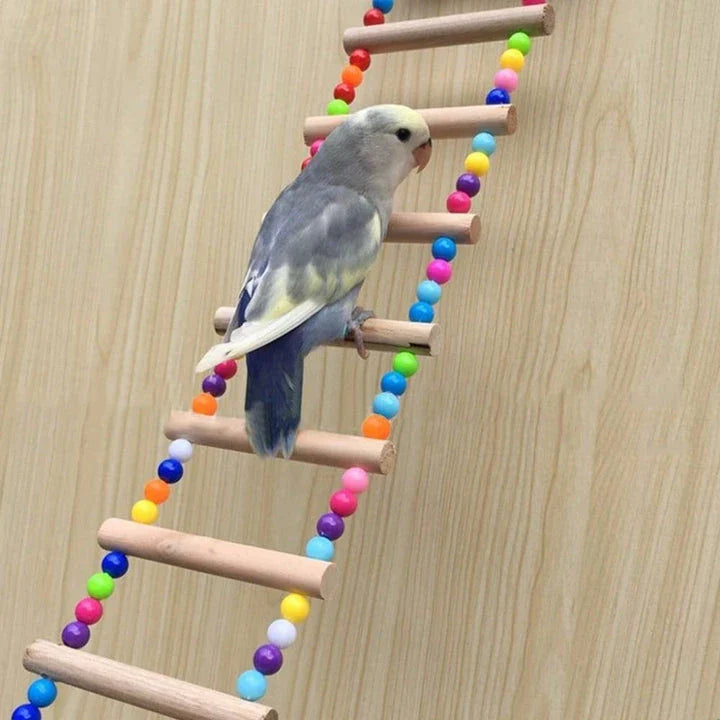 Sturdy wooden rainbow ladder with two hanging hooks, designed as a colourful climbing toy for pet birds