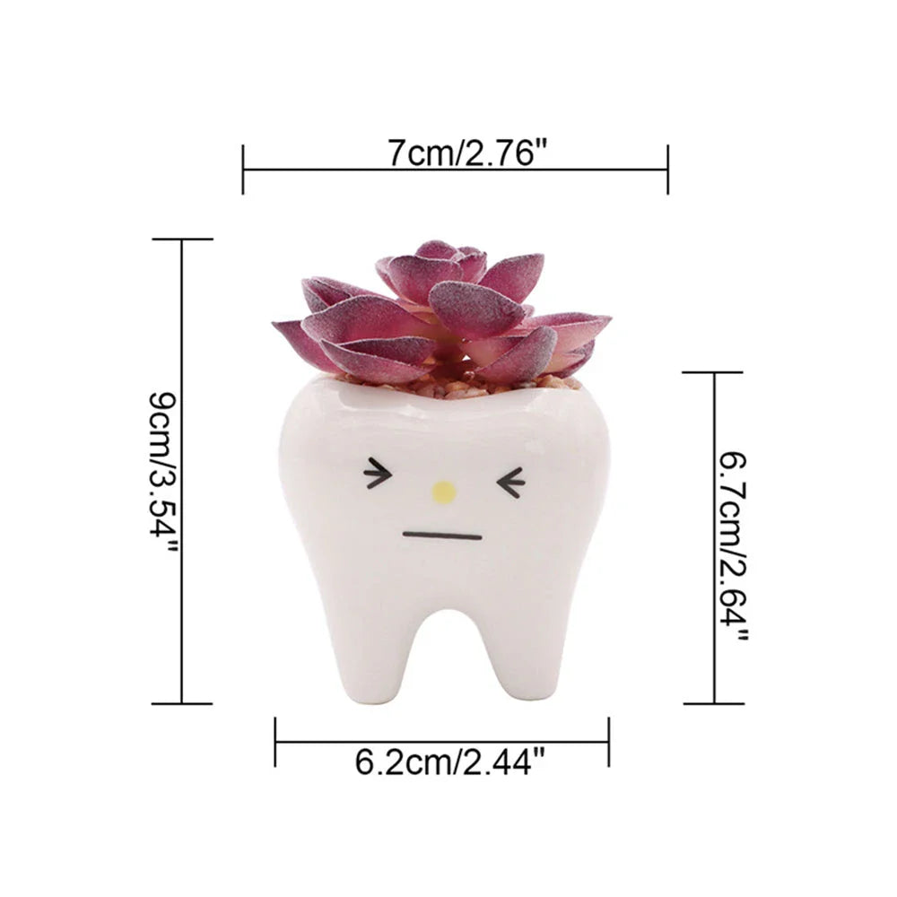 Charming ceramic tooth-shaped planter in white with glossy finish, perfect for succulents and cacti