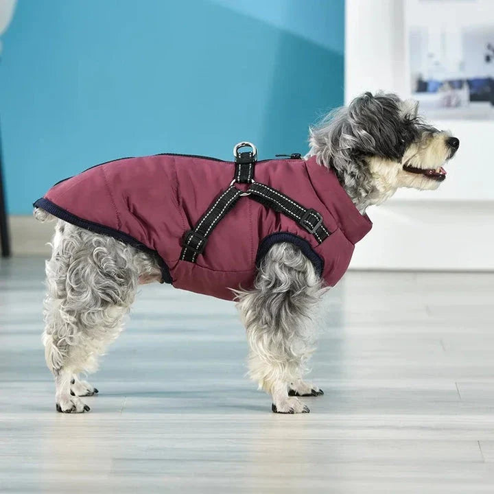 Stylish and practical waterproof dog coat with built-in harness in pink colour
