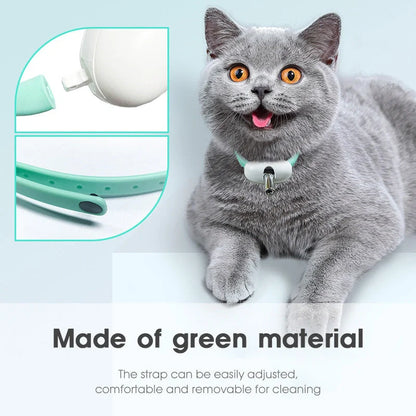Smart Laser Teasing Cat Collar with adjustable fit and USB charging