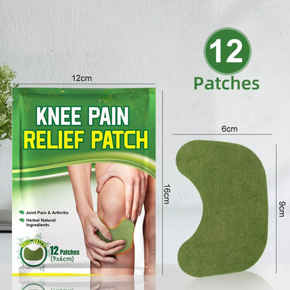 Argy Wormwood Knee Plaster pack with self-heating analgesic for joint care