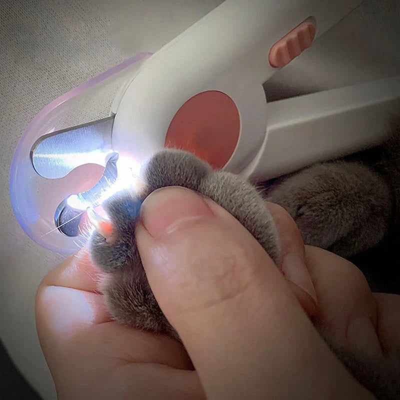 LED illuminated cat and dog nail clippers with sharpener in blue and green