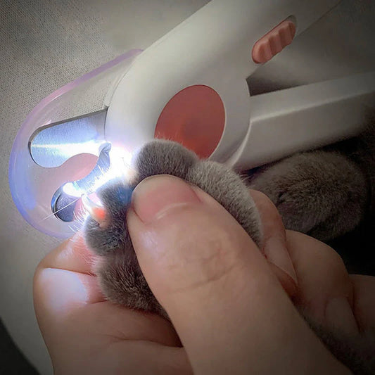 LED illuminated cat and dog nail clippers with sharpener in blue and green