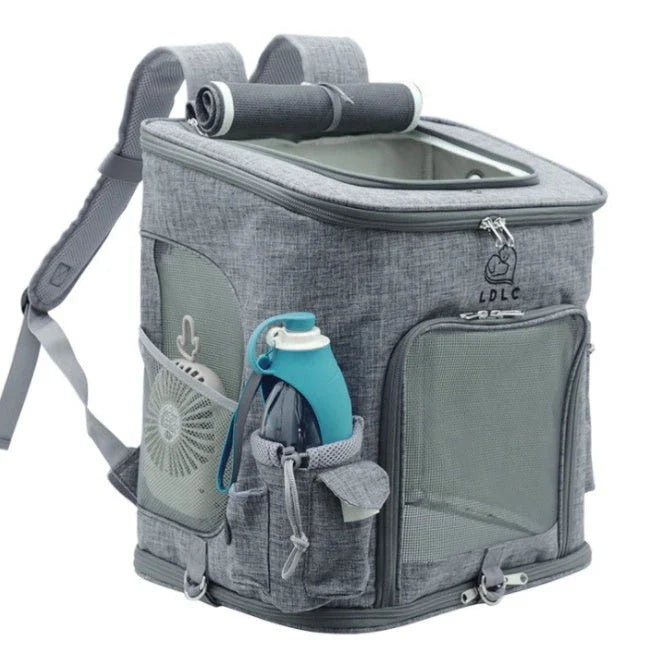 Transparent pet carrier backpack with mesh windows and zippered top for easy access, perfect for transporting cats in comfort and style.