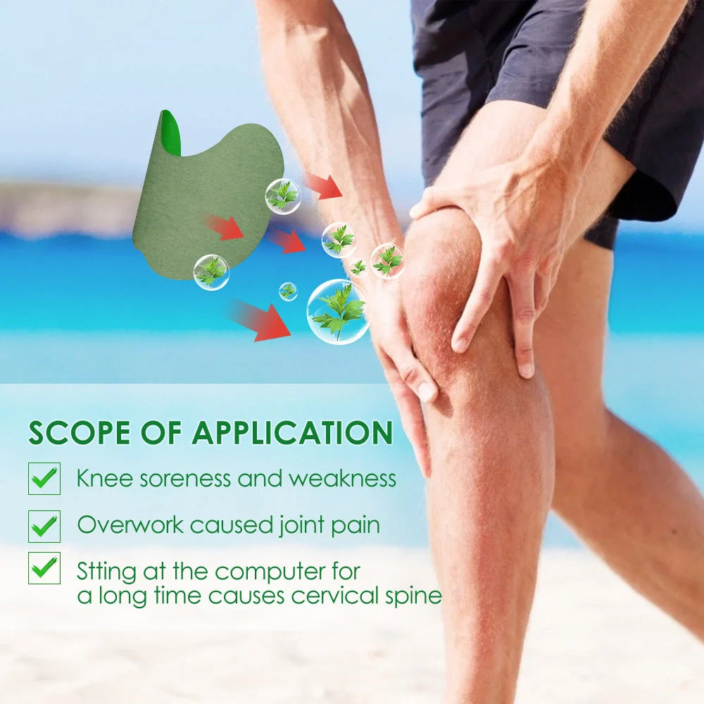 Argy Wormwood Knee Plaster pack with self-heating analgesic for joint care