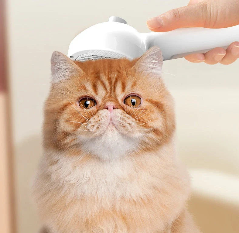 Versatile self-cleaning pet grooming brush with misting humidifier for removing tangles, mats, and loose fur from dogs and cats