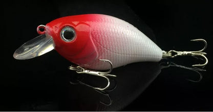 WALK FISH 5Pcs Fishing Lure Set with five vibrant minnow baits for effective fishing