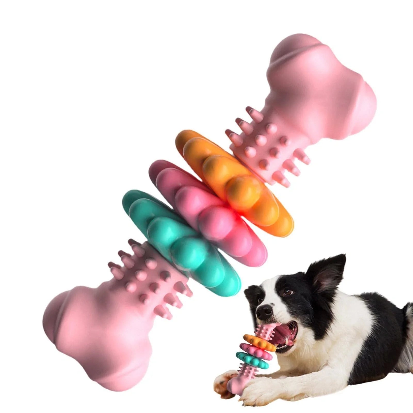 TPR dog chew toy bone shape in blue, pink, and green for teeth cleaning and stress relief