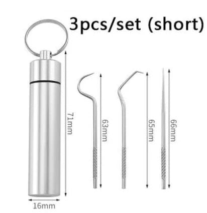Premium Stainless Steel Toothpick Set with Short and Long Picks for Portable Dental Cleaning