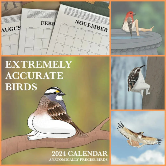 2024 wall calendar with beautiful, realistic illustrations of various bird species