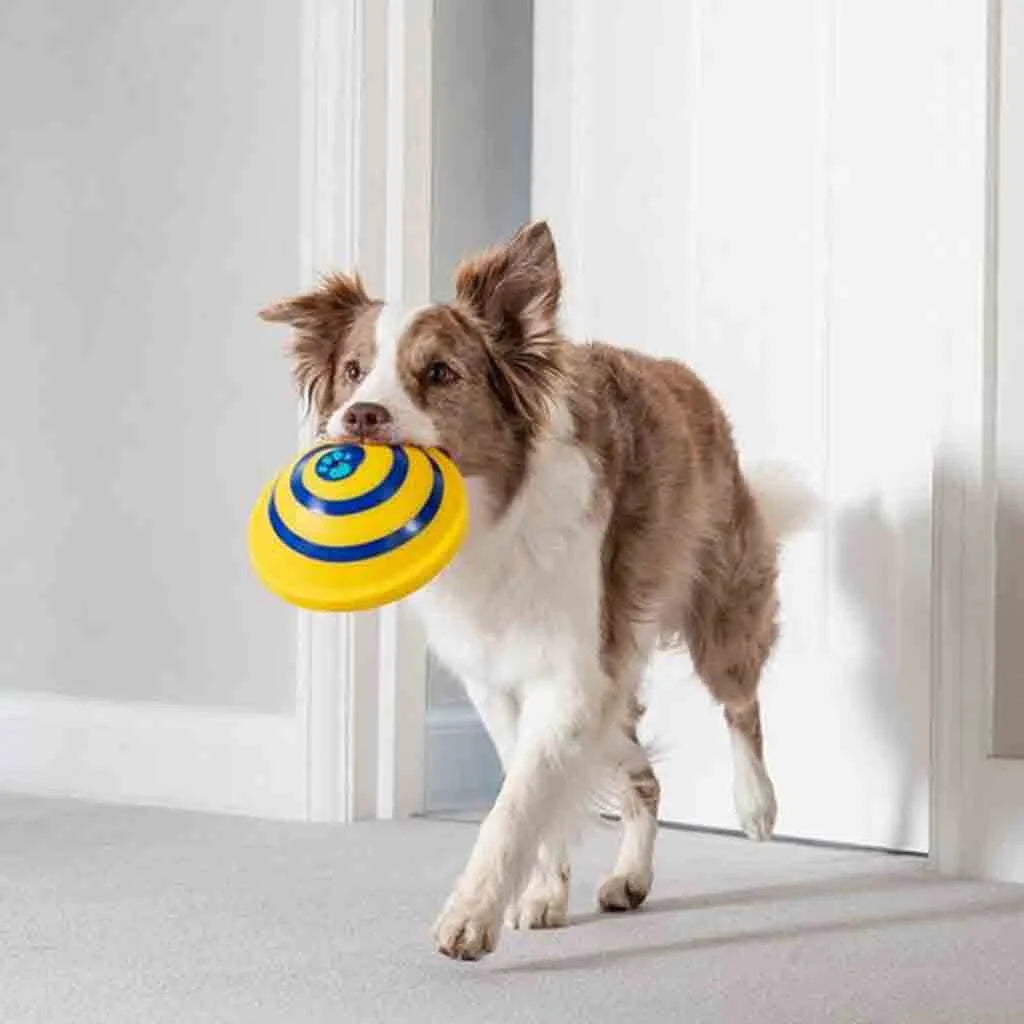 Sounding Disc Woof Glider yellow interactive dog toy