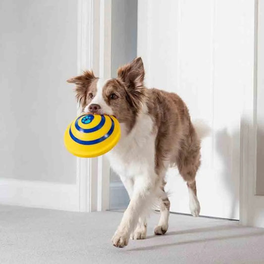 Sounding Disc Woof Glider yellow interactive dog toy
