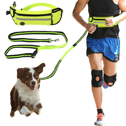 Versatile dog walking bag with waterproof material, reflective traction leash, and adjustable waist design for convenient and safe daily dog walks