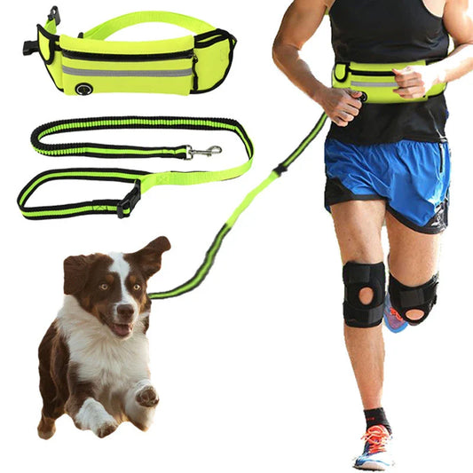 Versatile dog walking bag with waterproof material, reflective traction leash, and adjustable waist design for convenient and safe daily dog walks