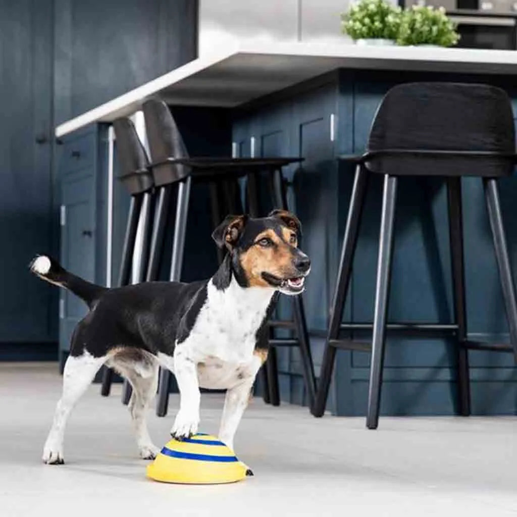 Sounding Disc Woof Glider yellow interactive dog toy