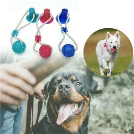 Durable, colourful chew toy with unique sucker design for dogs to play and maintain dental health