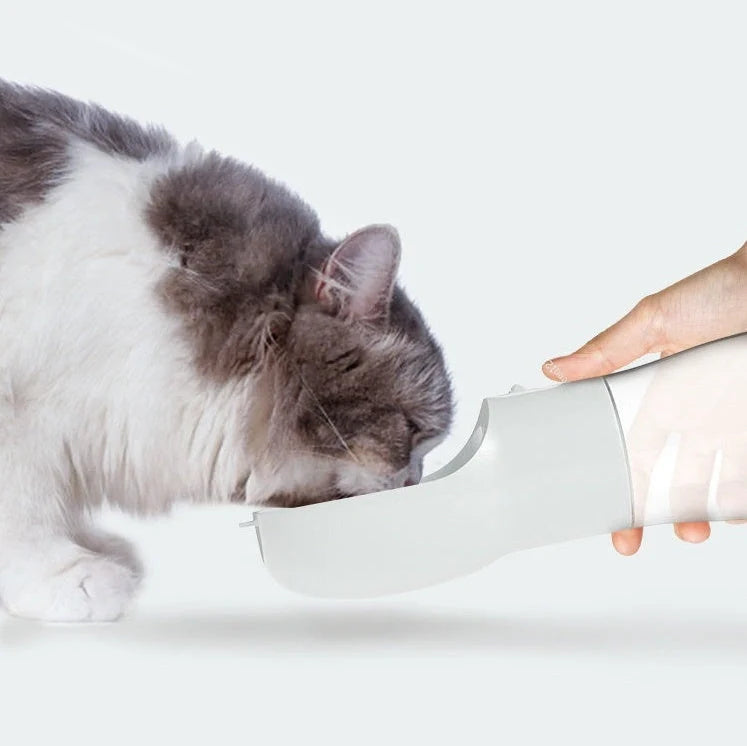 Traveling Out Portable Dog Water Dispenser with food and water compartments