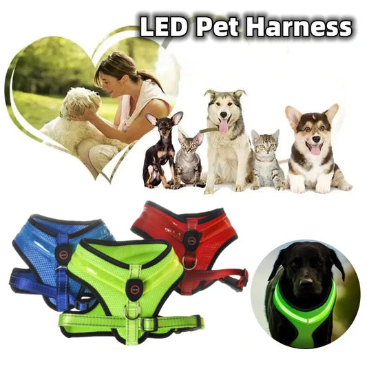 USB charging LED dog harness in blue, red, or green with reflective safety features