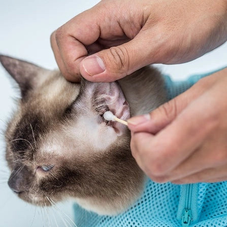 Adjustable polyester cat grooming bag for washing and nail trimming