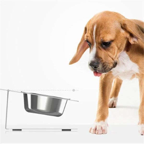 Stainless steel anti-spill pet feeding bowl in various colors