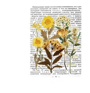 Herbarium DIY Plant Stickers pack with 8 unique botanical designs for creative decoration