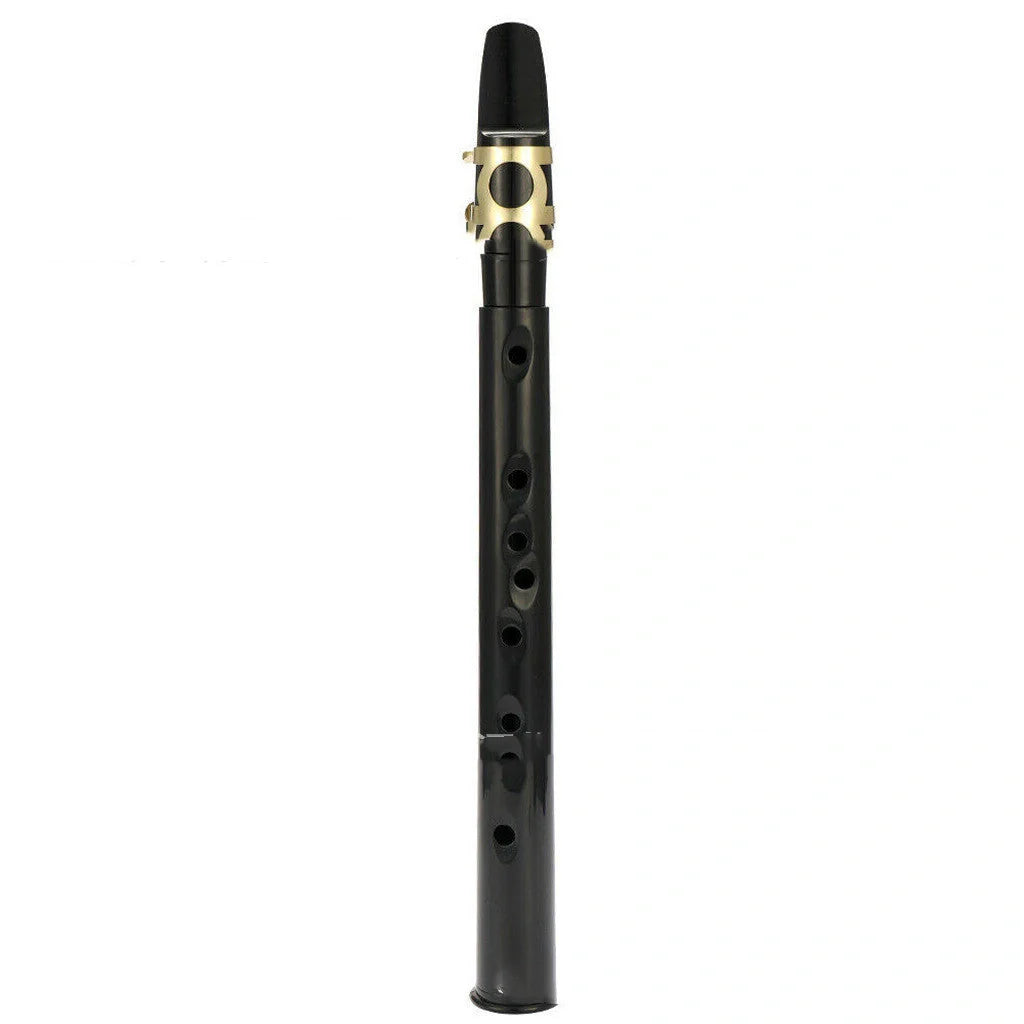 Portable Mini Saxophone in black with alto mouthpiece and carry bag