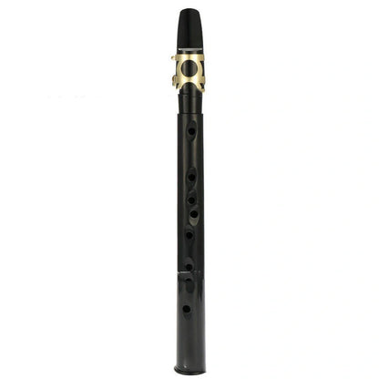 Portable Mini Saxophone in black with alto mouthpiece and carry bag
