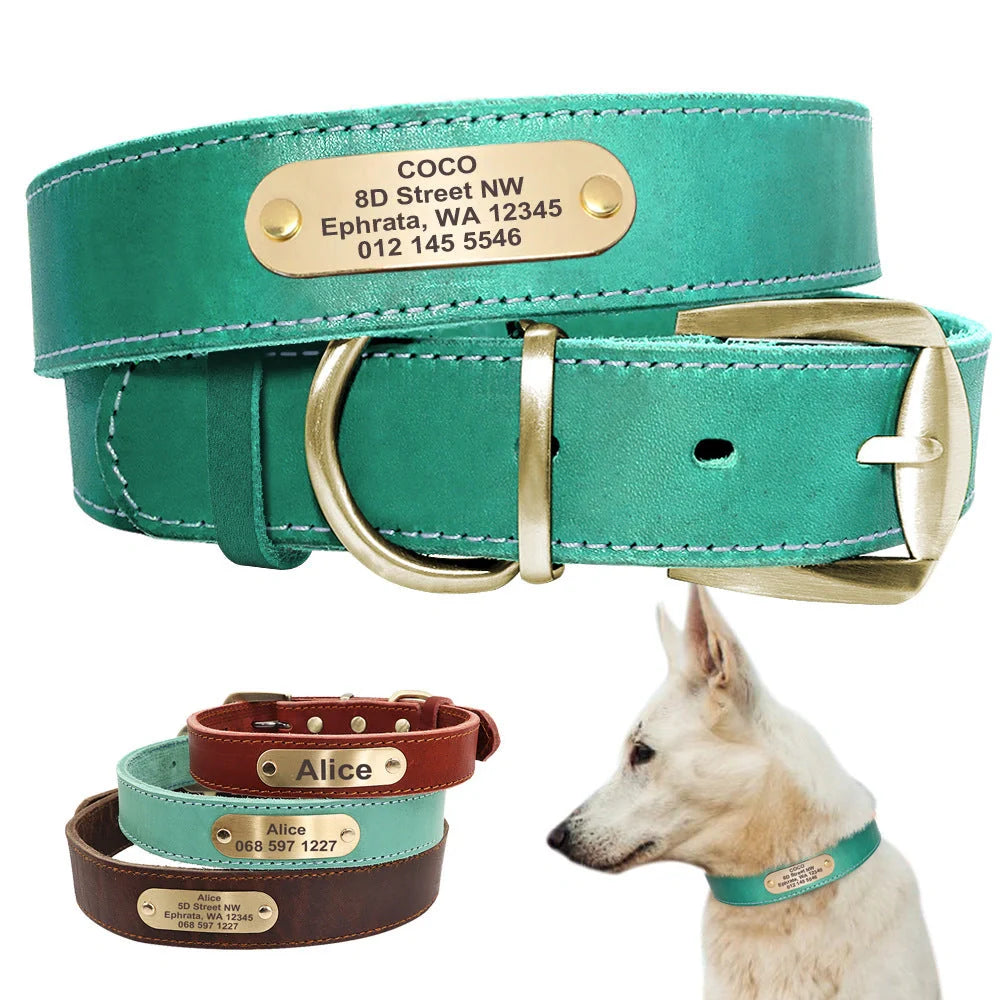 Personalized leather dog collar with golden nameplate ID tag for medium to large dogs
