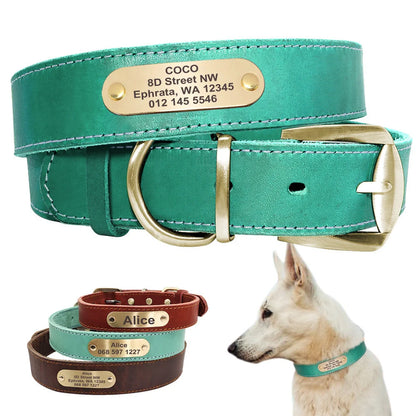 Personalized leather dog collar with golden nameplate ID tag for medium to large dogs