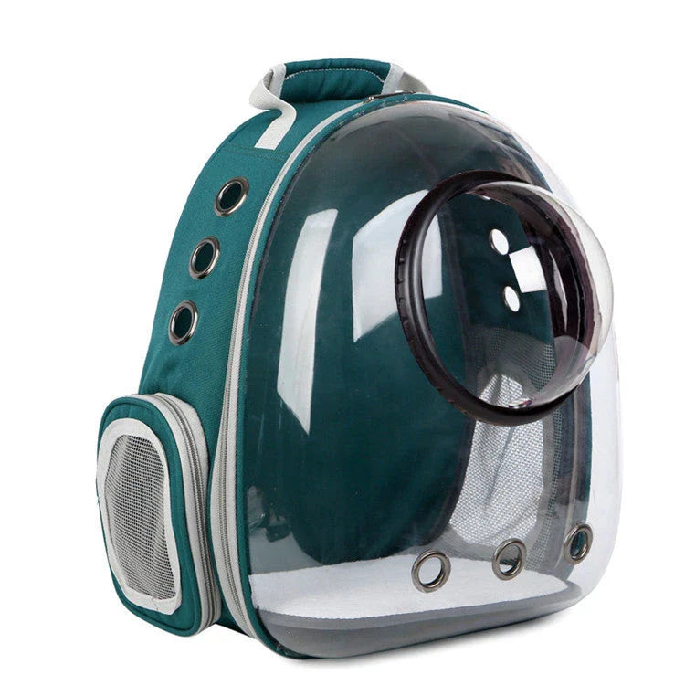 Premium transparent pet carrier backpack with side-entry door and breathable design for cats up to 12 kg