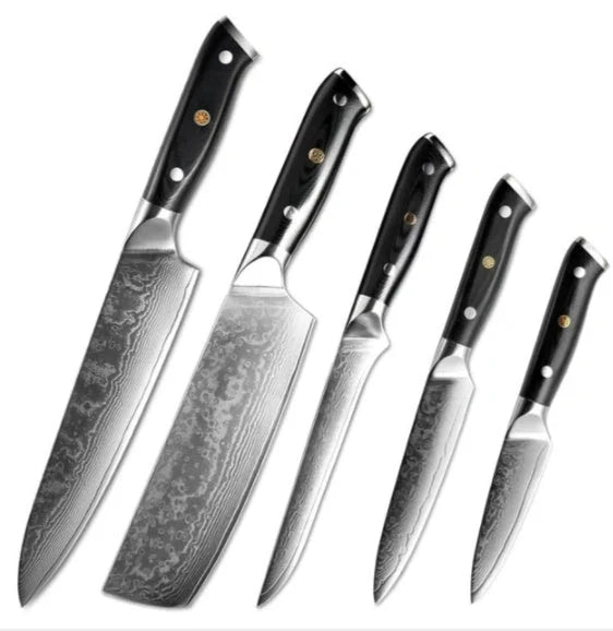 Premium Japanese Damascus steel kitchen and fruit knife set with G10 handle