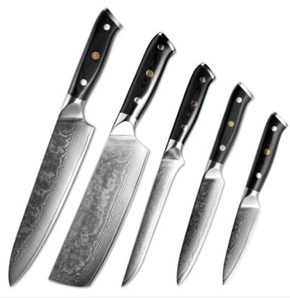 Premium Japanese Damascus steel kitchen and fruit knife set with G10 handle