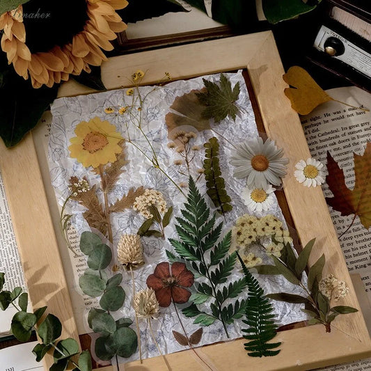 Herbarium DIY Plant Stickers pack with 8 unique botanical designs for creative decoration