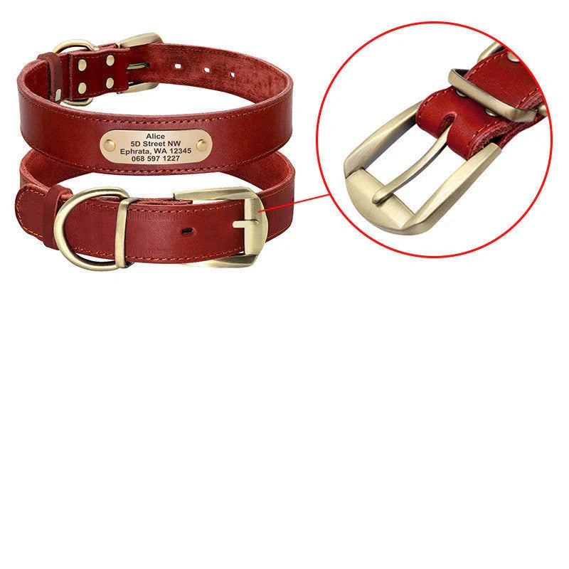Personalized leather dog collar with golden nameplate ID tag for medium to large dogs