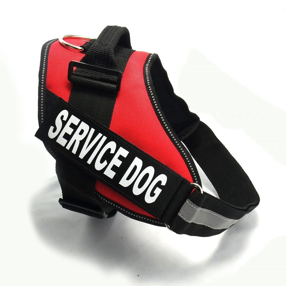 Premium nylon dog chest harness with adjustable fit for comfort and support during outdoor activities