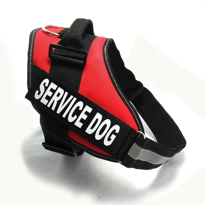 Premium nylon dog chest harness with adjustable fit for comfort and support during outdoor activities