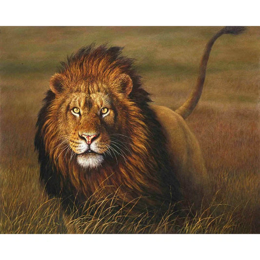 Hand-painted lion digital oil painting on linen canvas 40x50cm
