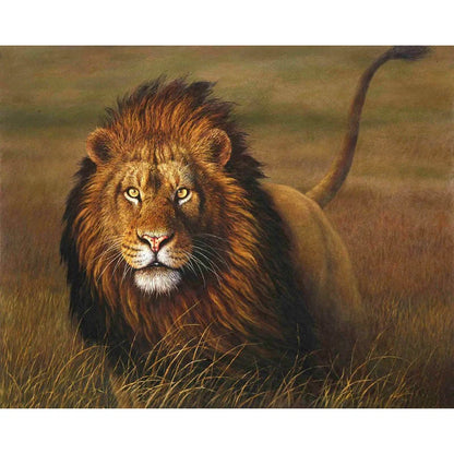 Hand-painted lion digital oil painting on linen canvas 40x50cm