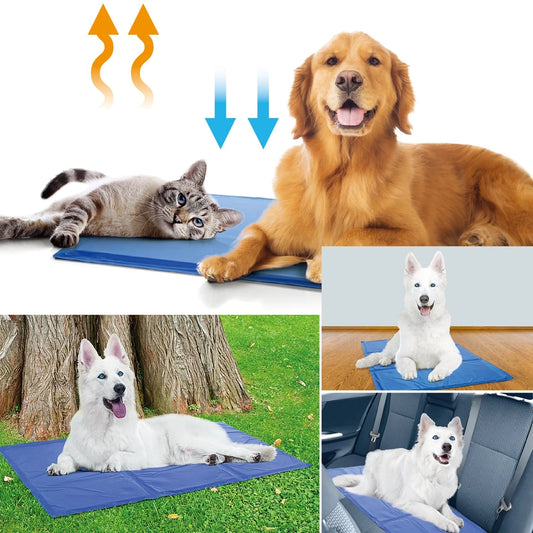 Blue dog cooling mat with pressure-activated ice crystal technology for summer use