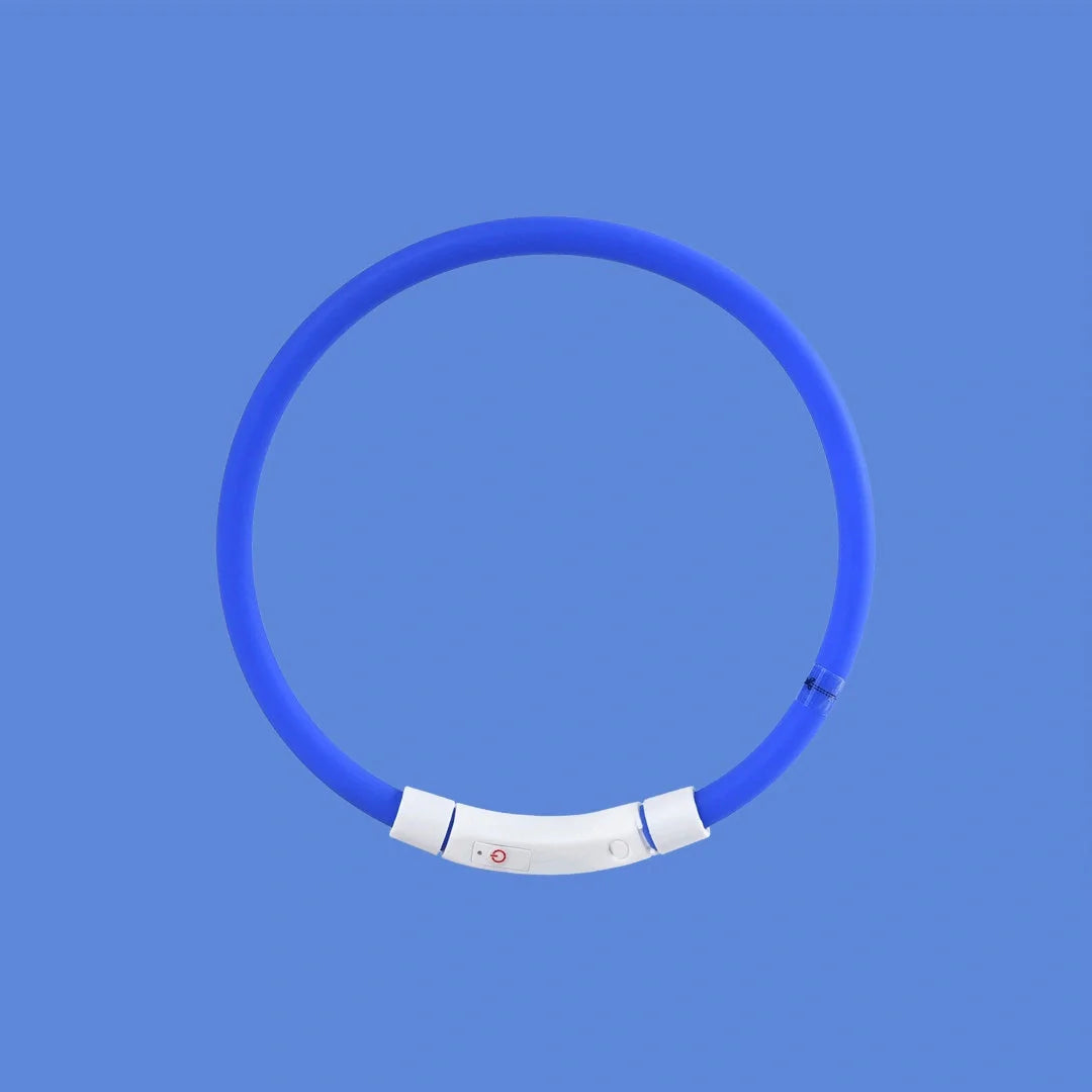 Blue LED pet light collar for dogs with adjustable modes and USB charging