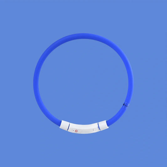 Blue LED pet light collar for dogs with adjustable modes and USB charging