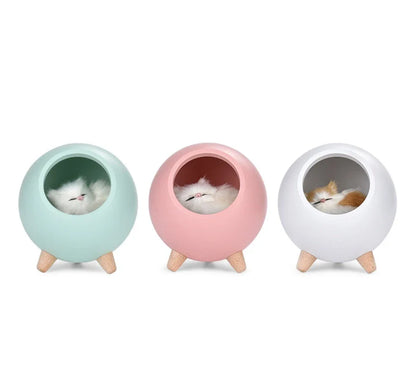 Stylish USB rechargeable LED night light with beech wood and ABS construction, emitting warm, soothing glow in various colours