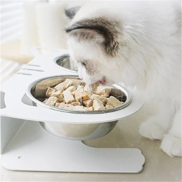 Stainless steel anti-spill pet feeding bowl in various colors