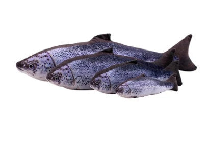 Soft, durable and realistic cat plush toy in the shape of a fish pillow, available in various sizes and designs.