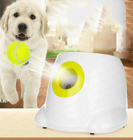 Automatic Dog Ball Launcher with 3 distance settings, keeping dogs active and entertained for hours
