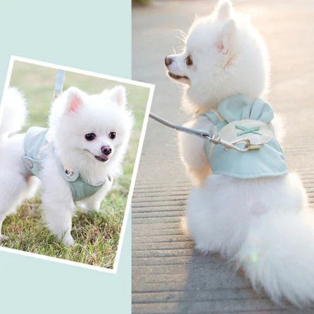 A stylish and comfortable dog harness and leash set in a variety of vibrant colours and patterns
