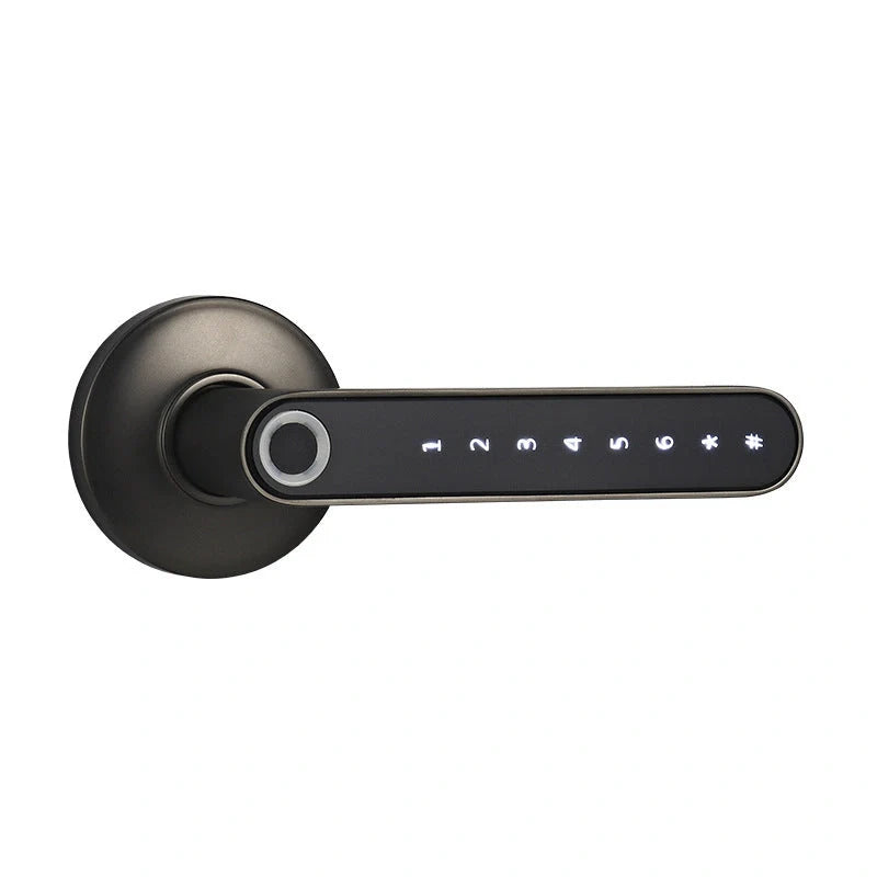 Smart Lock with fingerprint and Bluetooth access for home security